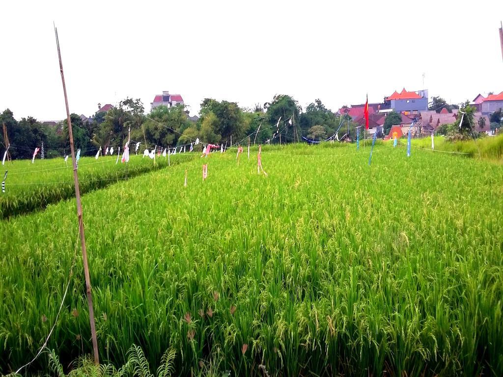 Reddoorz At Kerobokan Seminyak 2 מראה חיצוני תמונה